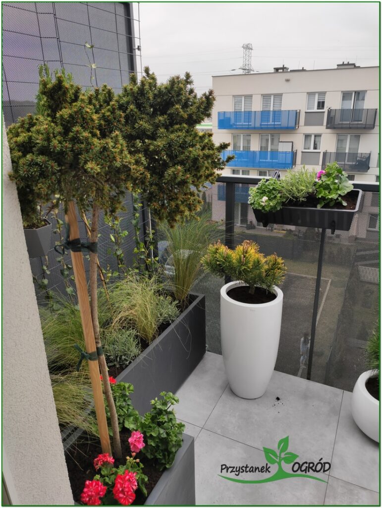 Roślinność na balkonie